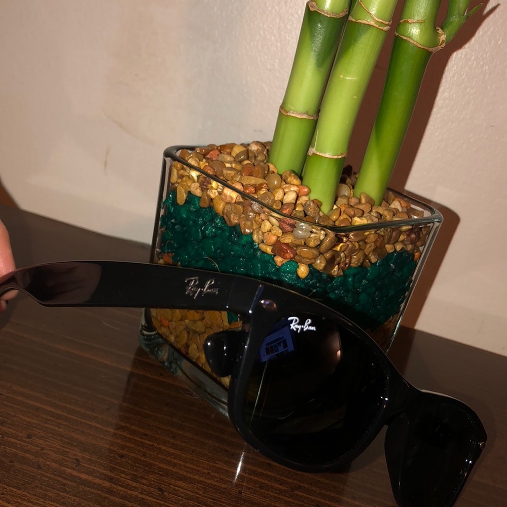 Wayfarer Rayband sunglasses